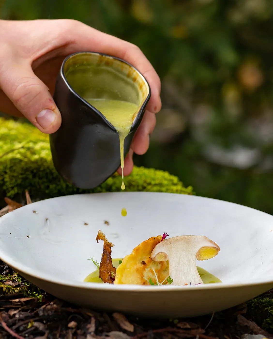 A Terracqua dish finished with a fresh herb sauce